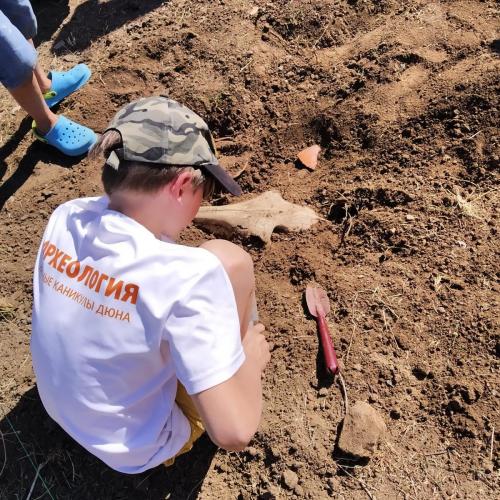 Археологические раскопки — расчистка погребений и развалов сосудов